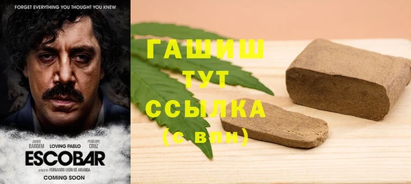 герыч Алексин