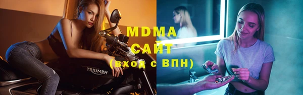 прущие грибы Абинск