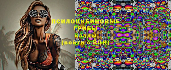 прущие грибы Абинск