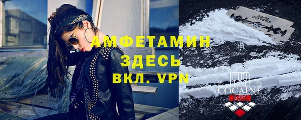 прущие грибы Абинск