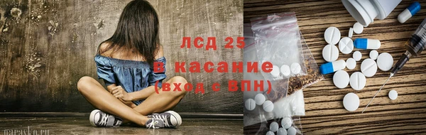 прущие грибы Абинск