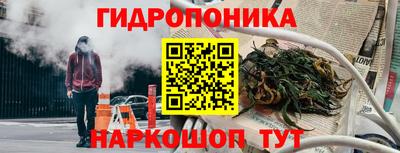 сатива Будённовск