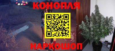 сатива Будённовск