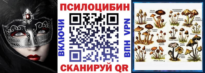 мега сайт  Грозный  Галлюциногенные грибы прущие грибы 