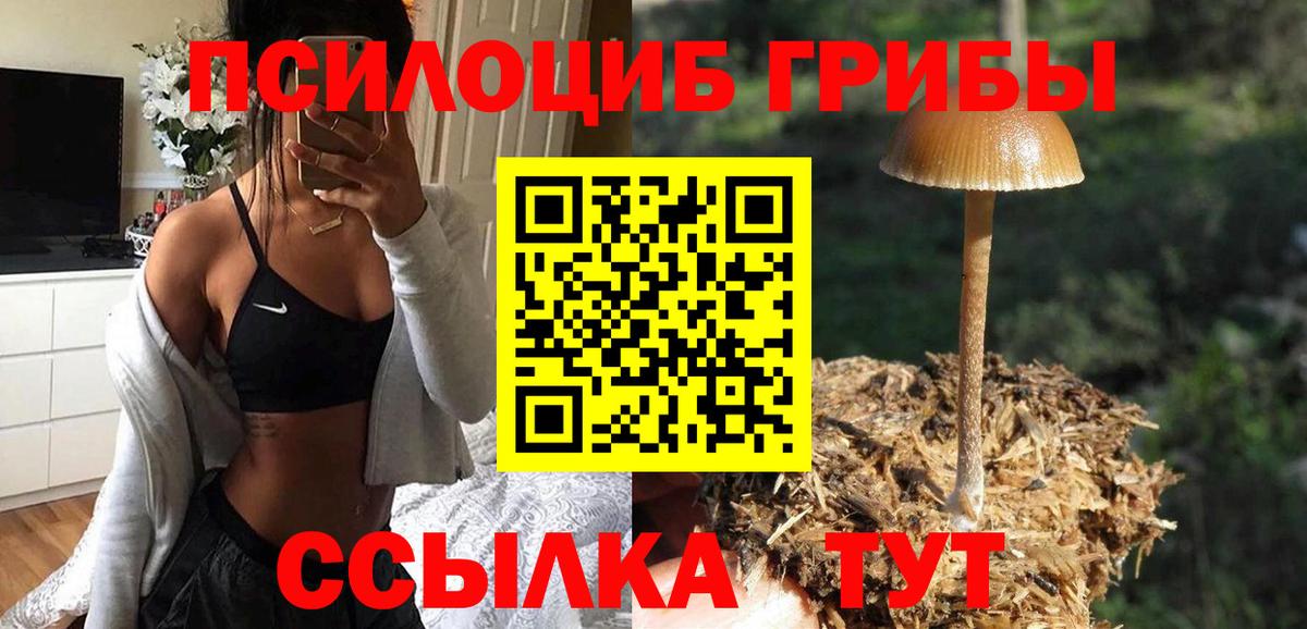 Псилоцибиновые грибы мухоморы Грозный