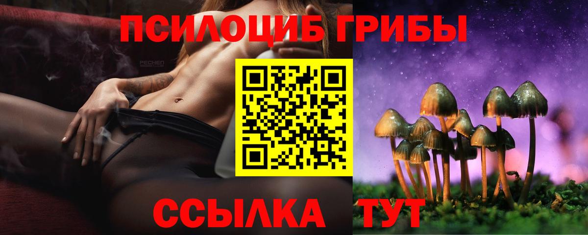 Галлюциногенные грибы мицелий  Вход с VPN  Грозный 